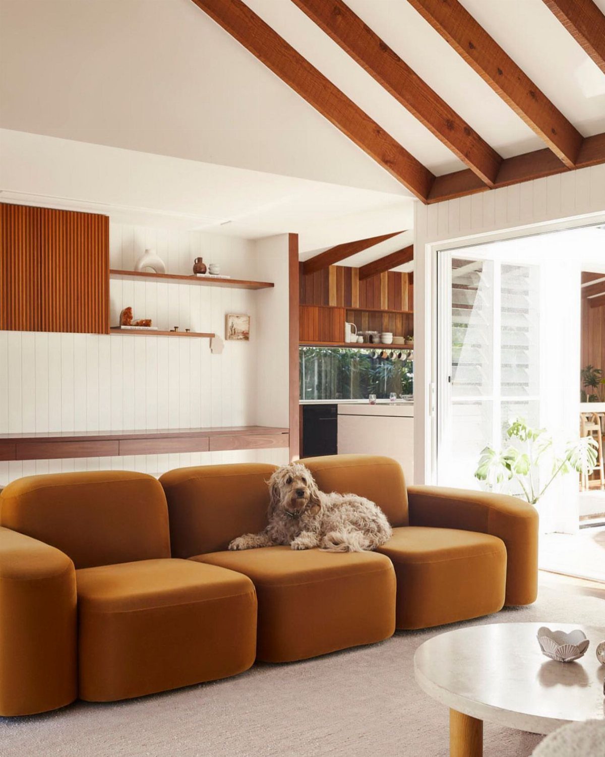 Caramel modular sofa with a fluffy dog in a bright living room