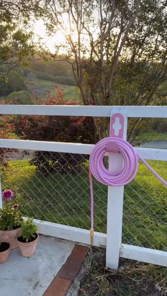 Pink garden hose coiled on a pink hanger attached to a white fence.