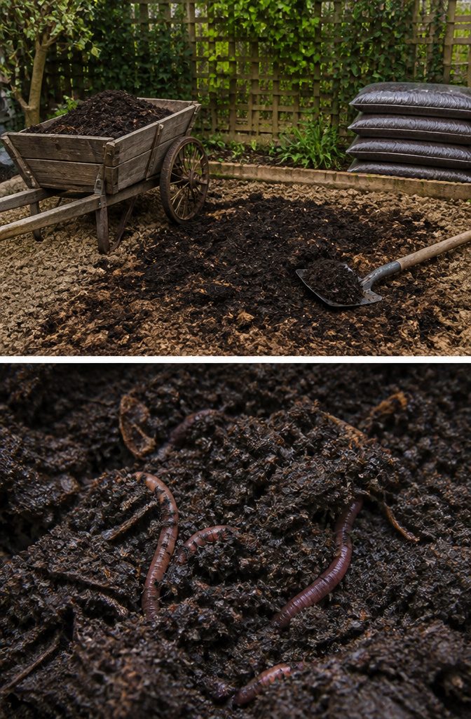 A garden bed with a layer of compost mixed into the topsoil.