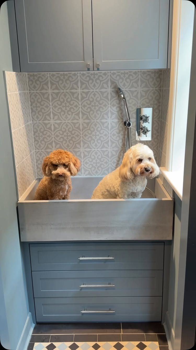 Two dogs sitting in a concrete wash basin with grey cabinetry and tiled walls.